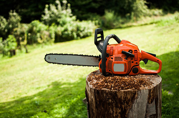 STIHL chainsaws